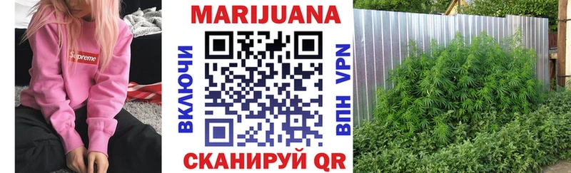 Бошки Шишки семена Верхний Тагил